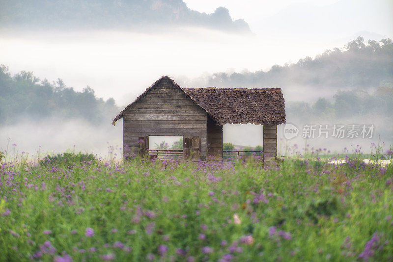 日出在Doi Chiang Dao山与雾和盛开的花园在清莱，泰国